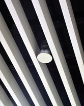 SAS710 | Linear Ceilings | SAS International